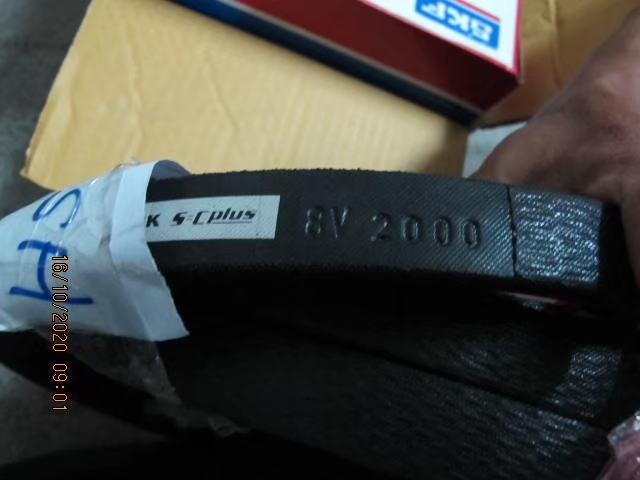Belt Photo 2